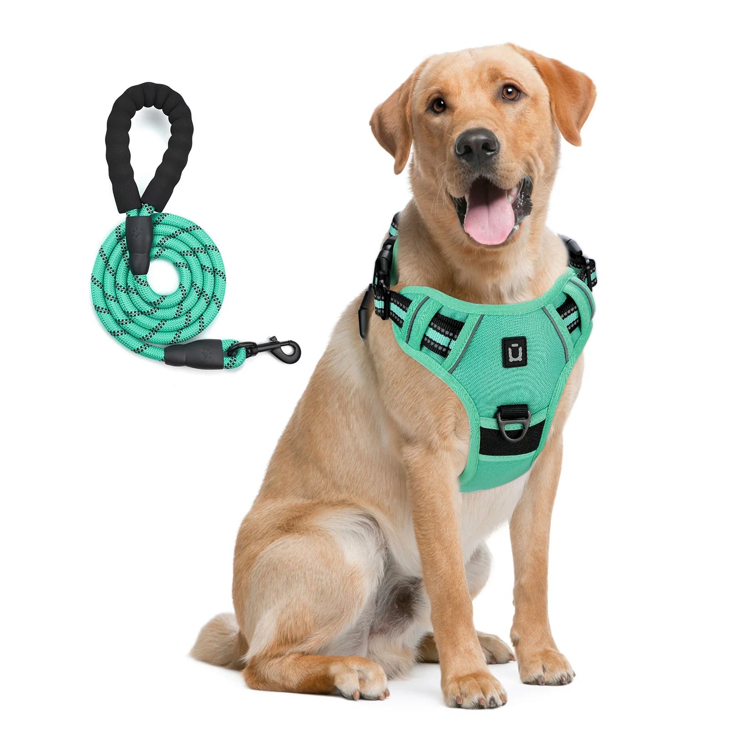 Dog Harness and Leash Combo, Escape Proof different colors and sizes