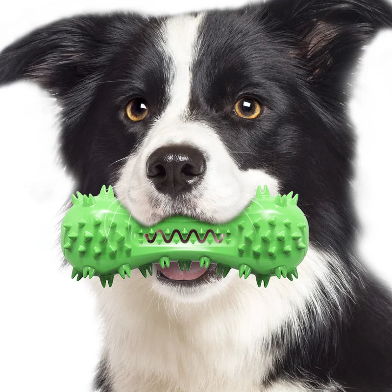 Durable Dog Chew Toys for Aggressive Chewers – Teeth Cleaning, Multiple Colors