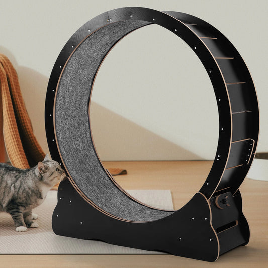 Cat Exercise Wheel Large Cat Treadmill Wheel for Indoor Cats 43inch Cat Running Wheel with Detachable Carpet for Running/Walking