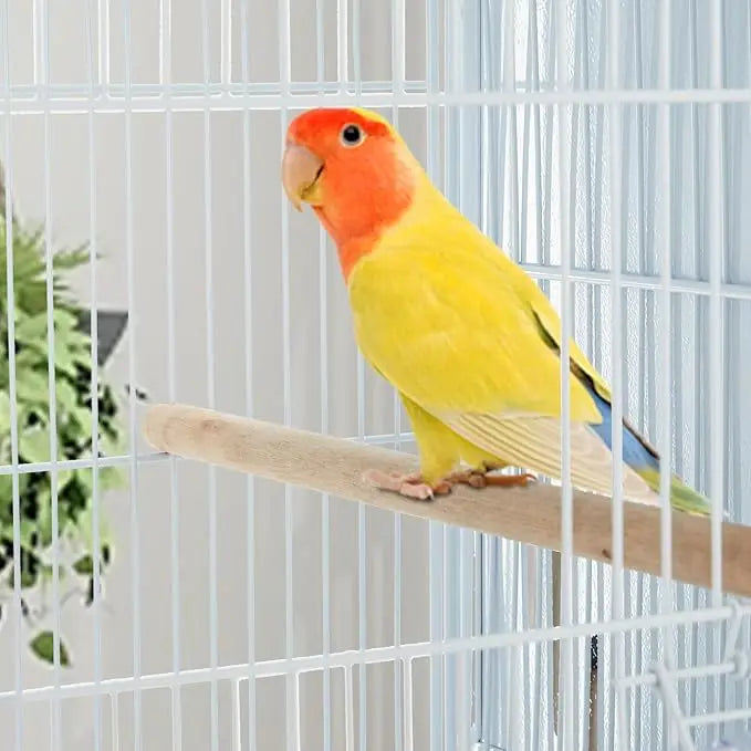 Pet Products Parrot Playstand with Wheels, Bird Cage Stand with Activity Play Center with Perches and Ladders