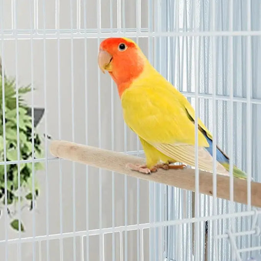 Pet Products Parrot Playstand with Wheels, Bird Cage Stand with Activity Play Center with Perches and Ladders