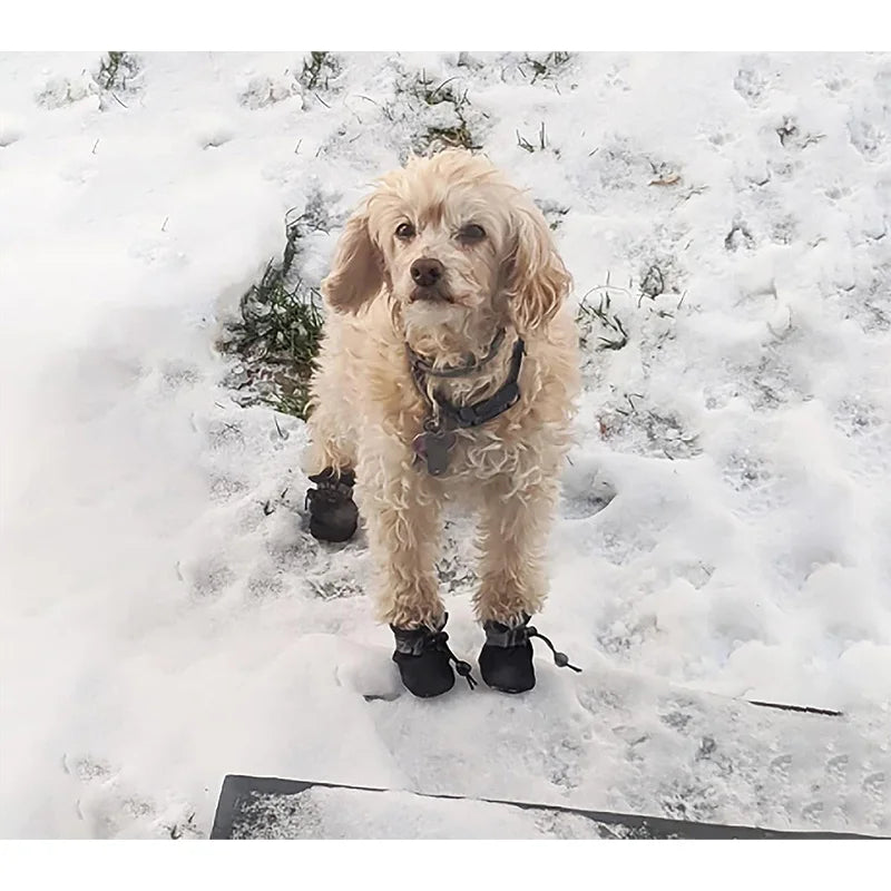 4Pcs Waterproof Dog Boots for Small Dogs - Non-slip Sole, Adjustable Drawstring, Soft Breathable Dog Shoes