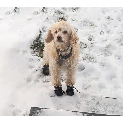 4Pcs Waterproof Dog Boots for Small Dogs - Non-slip Sole, Adjustable Drawstring, Soft Breathable Dog Shoes