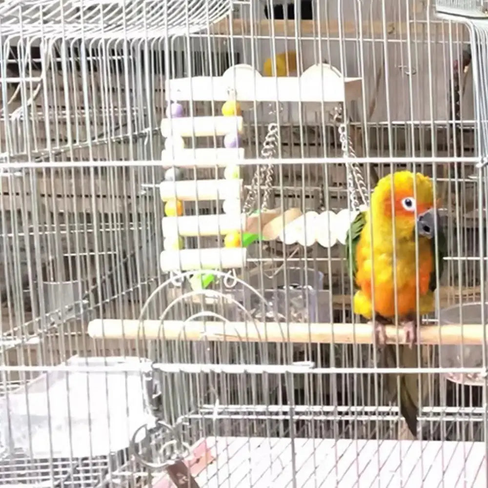 Bird Swing Perch Cockatiel Swing With Climbing Ladder Parrot Chew Toys For Parakeets