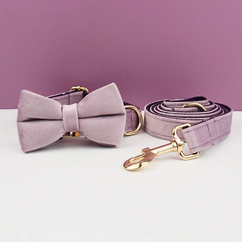 Velvet Collar Free Engrave Dog Collar  & Leash - different types