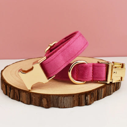 Velvet Collar Free Engrave Dog Collar  & Leash - different types