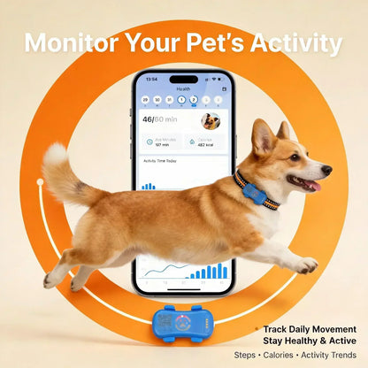 GPS Pet Tracker 4G for Dogs & Cats, Built-in SIM with Real-Time Tracking, WiFi Home Positioning