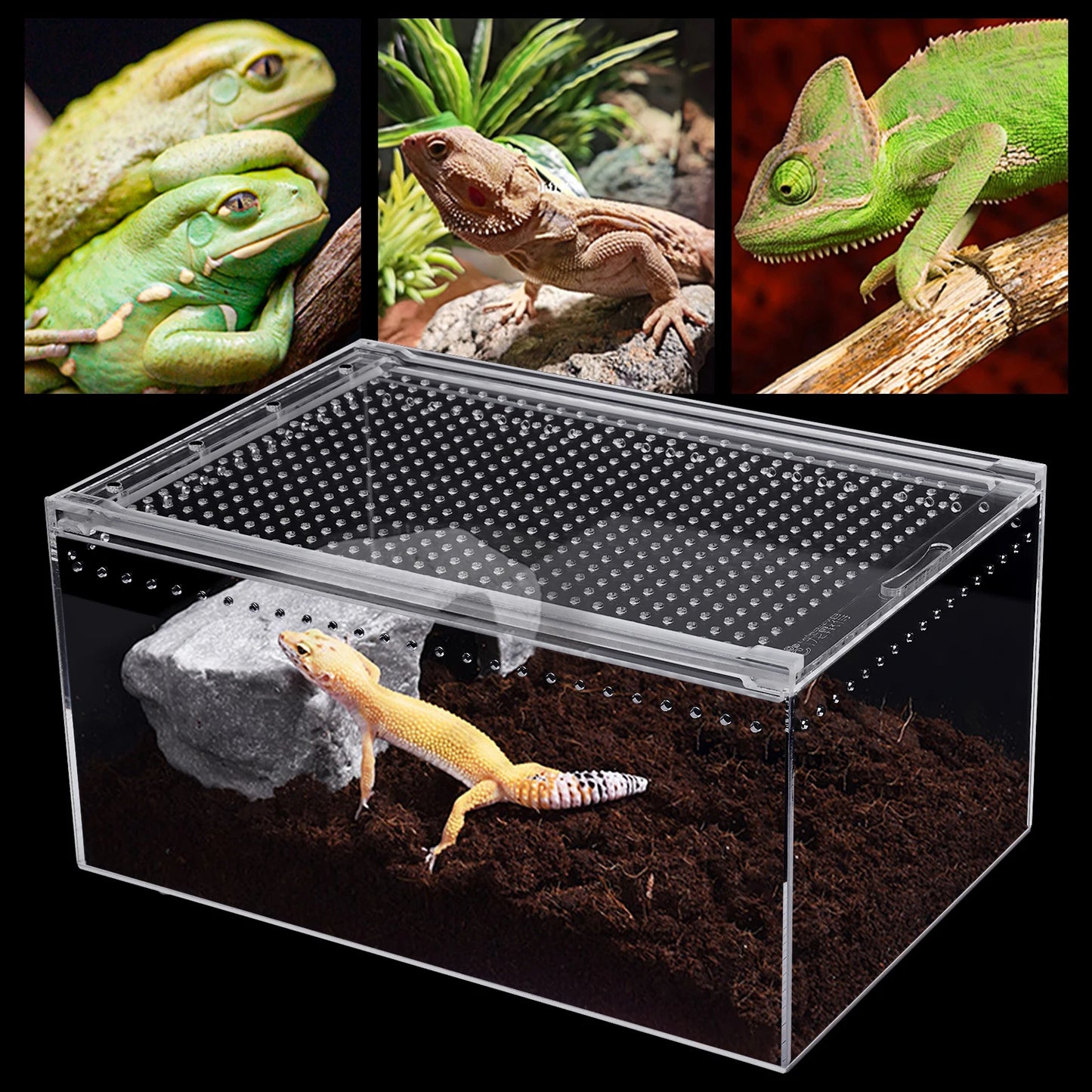 Clear Acrylic Reptile Feeding Box,Rectangular Reptile Pet Breeding Cage 30*20*15cm for Horned Frogs,Scorpions