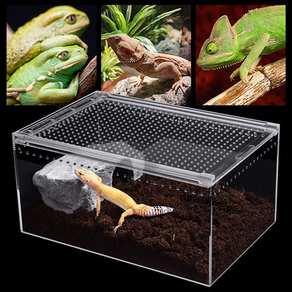 Clear Acrylic Reptile Feeding Box,Rectangular Reptile Pet Breeding Cage 30*20*15cm for Horned Frogs,Scorpions