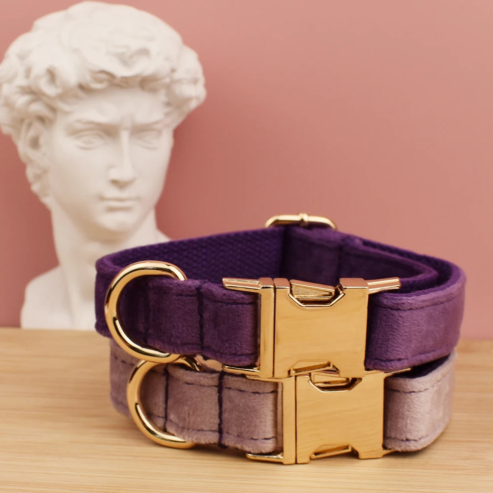 Velvet Collar Free Engrave Dog Collar  & Leash - different types