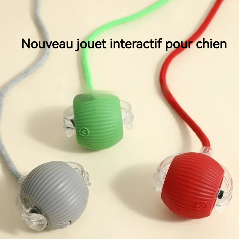 New Dog Interactive Ball Toy, Automatic Rolling Dog Ball, Rechargeable, Smart Puppy Toy