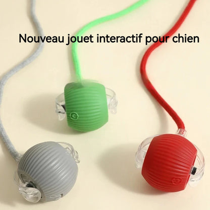 New Dog Interactive Ball Toy, Automatic Rolling Dog Ball, Rechargeable, Smart Puppy Toy