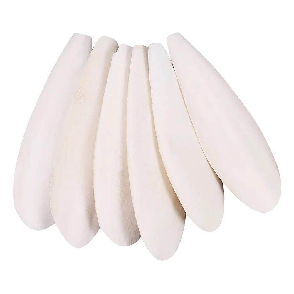 10pcs Pet Bird Food Demineralized Chewing Cuttlefish Bone Edible Crawling Pet