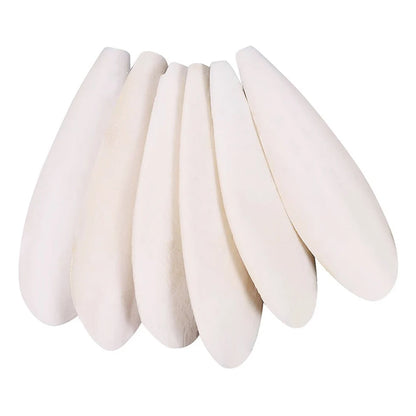10pcs Pet Bird Food Demineralized Chewing Cuttlefish Bone Edible Crawling Pet