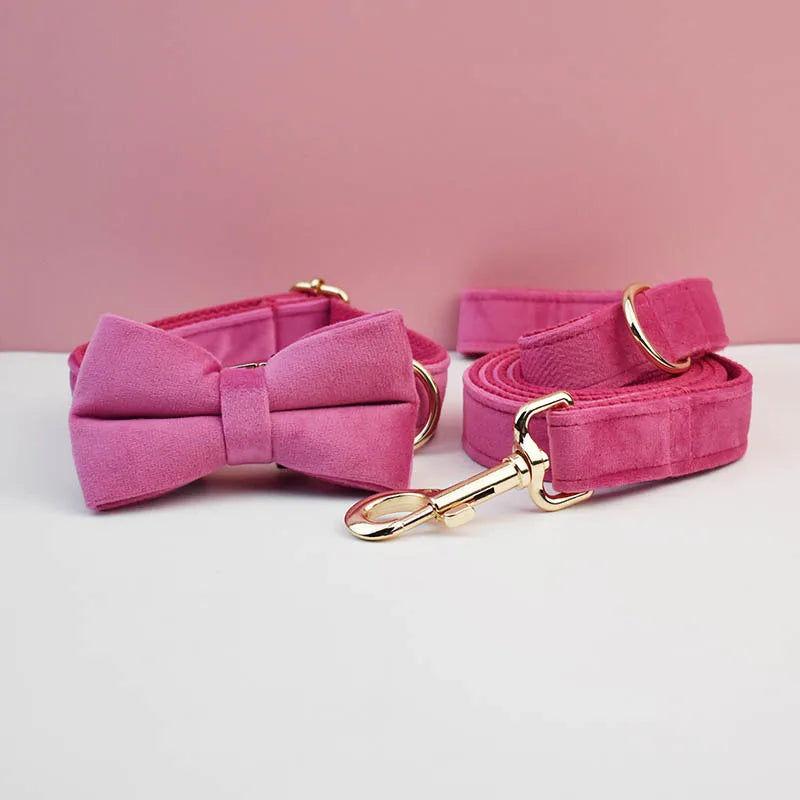 Velvet Collar Free Engrave Dog Collar  & Leash - different types