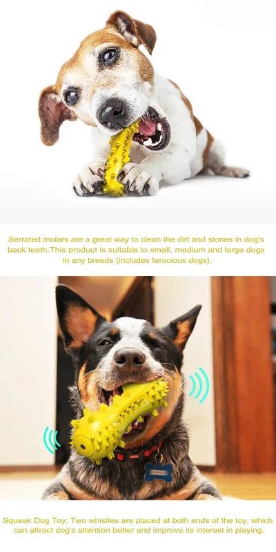 Durable Dog Chew Toys for Aggressive Chewers – Teeth Cleaning, Multiple Colors