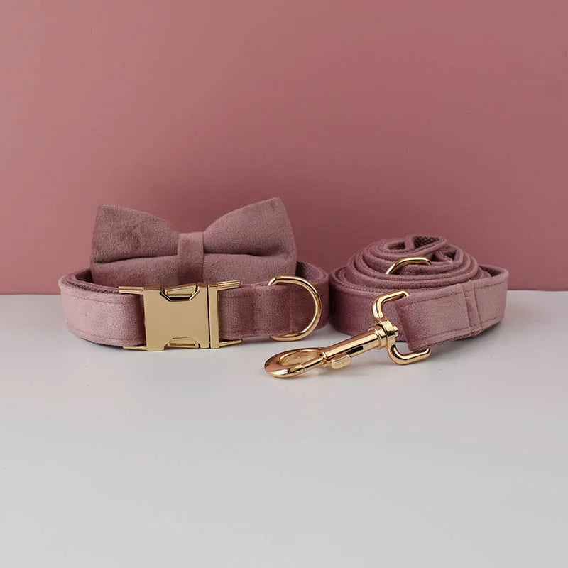 Velvet Collar Free Engrave Dog Collar  & Leash - different types