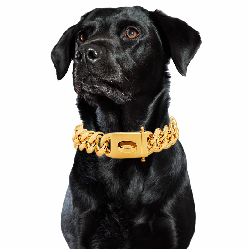 Gold Dog Collar Stainless Steel Metal Pet Choker  - different lengths