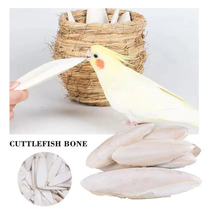1-5Pcs Bird Cuttle Bone Pet Grinding Cuttlefish Bone Natural Parrot Chew Toy Chewing