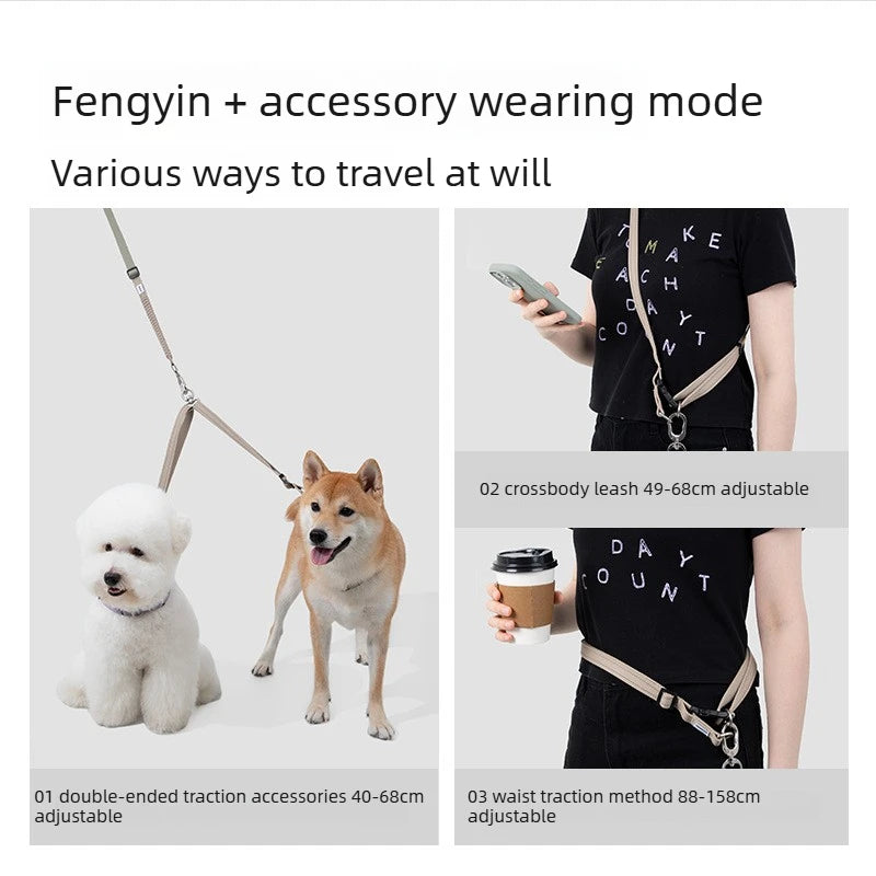 Bungee Buffer Dog Leash Set Anti-Shock - different colors