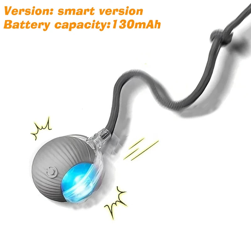 New Dog Interactive Ball Toy, Automatic Rolling Dog Ball, Rechargeable, Smart Puppy Toy
