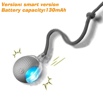 New Dog Interactive Ball Toy, Automatic Rolling Dog Ball, Rechargeable, Smart Puppy Toy