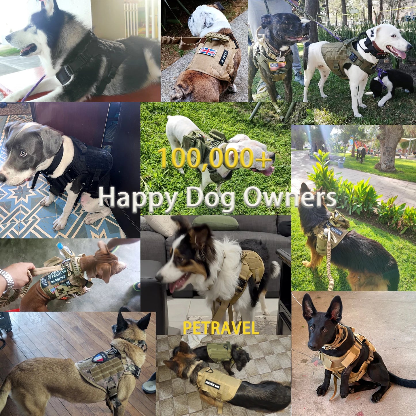 Tactical Dog Harness Collar & Leash