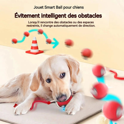 New Dog Interactive Ball Toy, Automatic Rolling Dog Ball, Rechargeable, Smart Puppy Toy