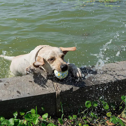 Pet Dog Toy Super Bite Resistant Ball Light Chew ETPU Ball High Elastic Interactive Throwing Flying Toys For Dogs