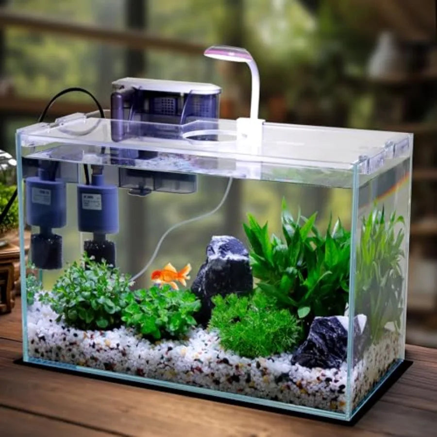 5 Gallon Glass Small Fish Tank with Filter Light and Lid Betta Aquarium Starter Kit
