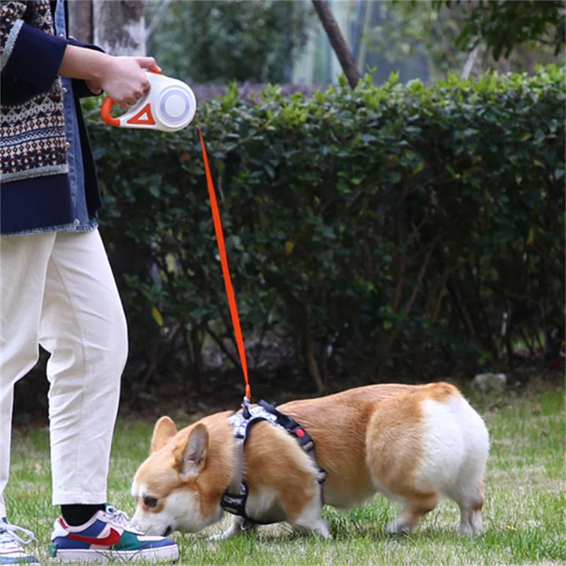 5M Automatic Retractable Dog Leash with Led Flashlight, Durable Nylon Lead for Dogs, Adjustable Walking Running Rope