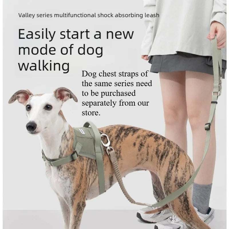 Bungee Buffer Dog Leash Set Anti-Shock - different colors