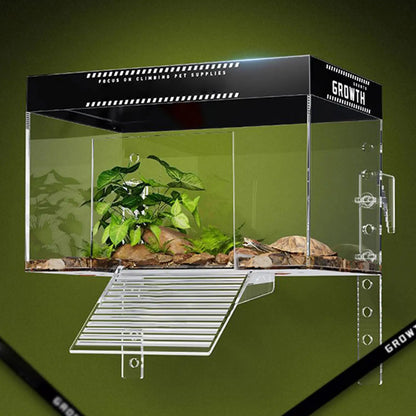 Pet Turtle Basking Area With Ramp