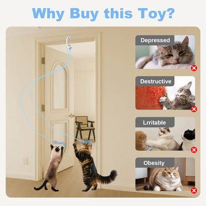 Cat Toys- Electric Door Hanging Cat Toy, Interactive, USB Rechargeable Toy