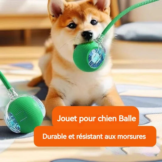 New Dog Interactive Ball Toy, Automatic Rolling Dog Ball, Rechargeable, Smart Puppy Toy