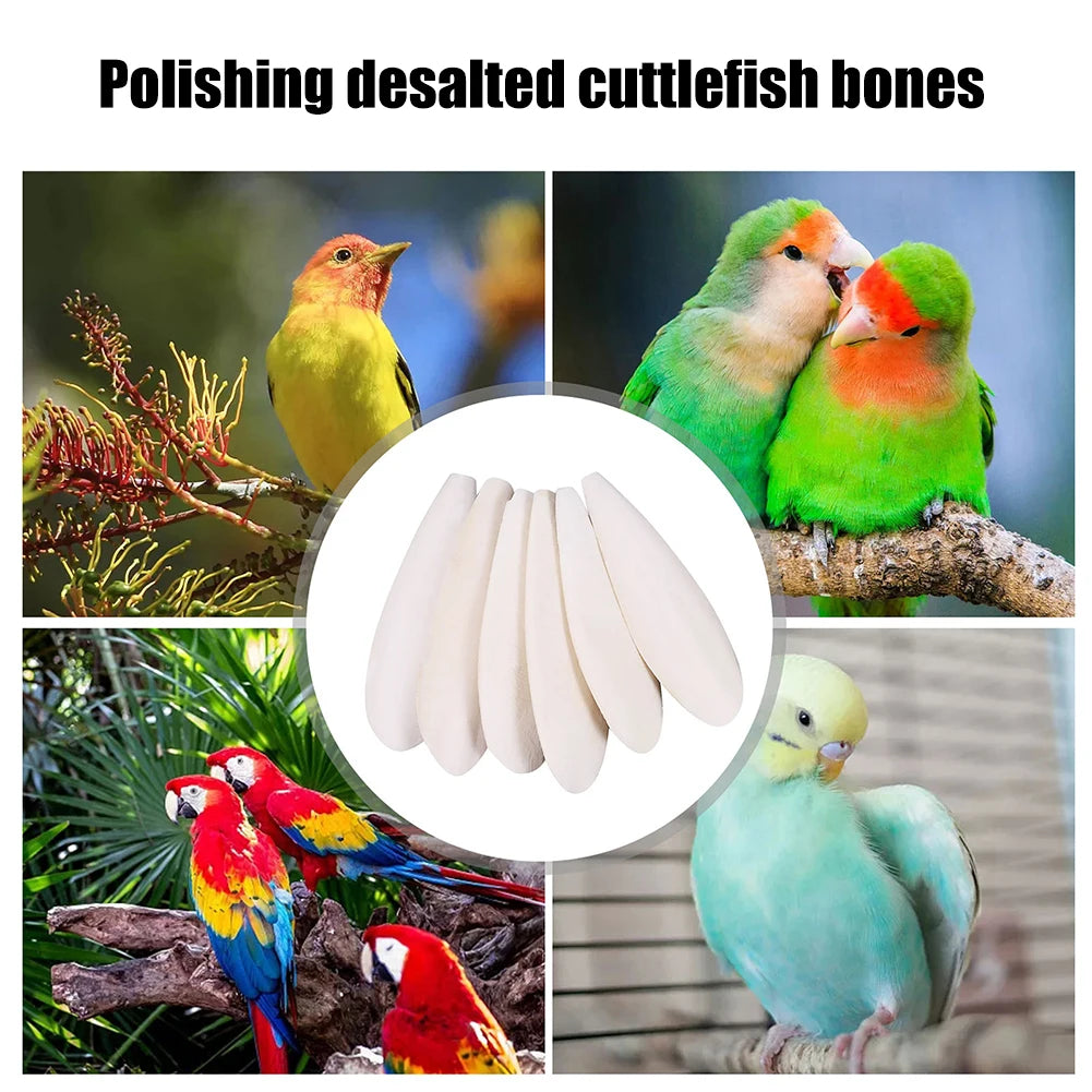 10pcs Pet Bird Food Demineralized Chewing Cuttlefish Bone Edible Crawling Pet