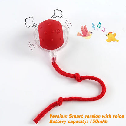 New Dog Interactive Ball Toy, Automatic Rolling Dog Ball, Rechargeable, Smart Puppy Toy