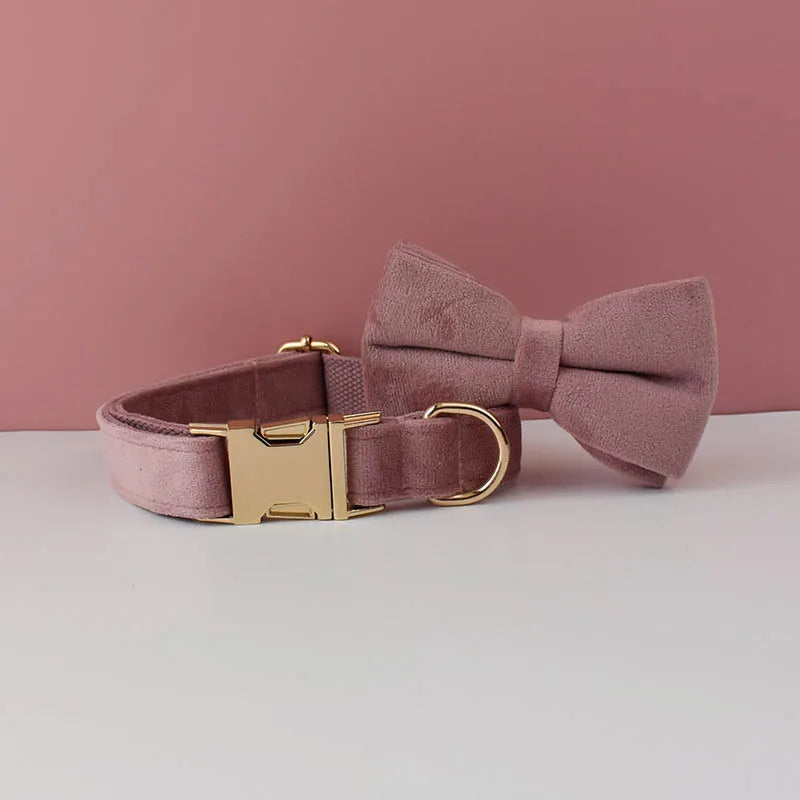 Velvet Collar Free Engrave Dog Collar  & Leash - different types