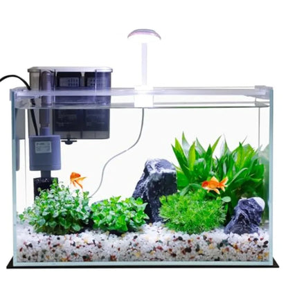 5 Gallon Glass Small Fish Tank with Filter Light and Lid Betta Aquarium Starter Kit