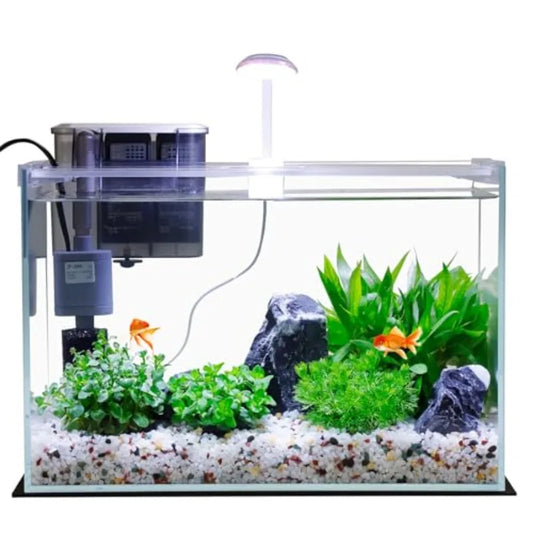 5 Gallon Glass Small Fish Tank with Filter Light and Lid Betta Aquarium Starter Kit