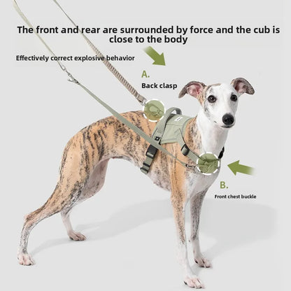 Bungee Buffer Dog Leash Set Anti-Shock - different colors