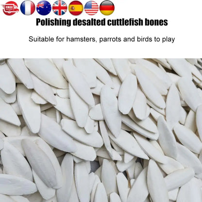 10pcs Pet Bird Food Demineralized Chewing Cuttlefish Bone Edible Crawling Pet