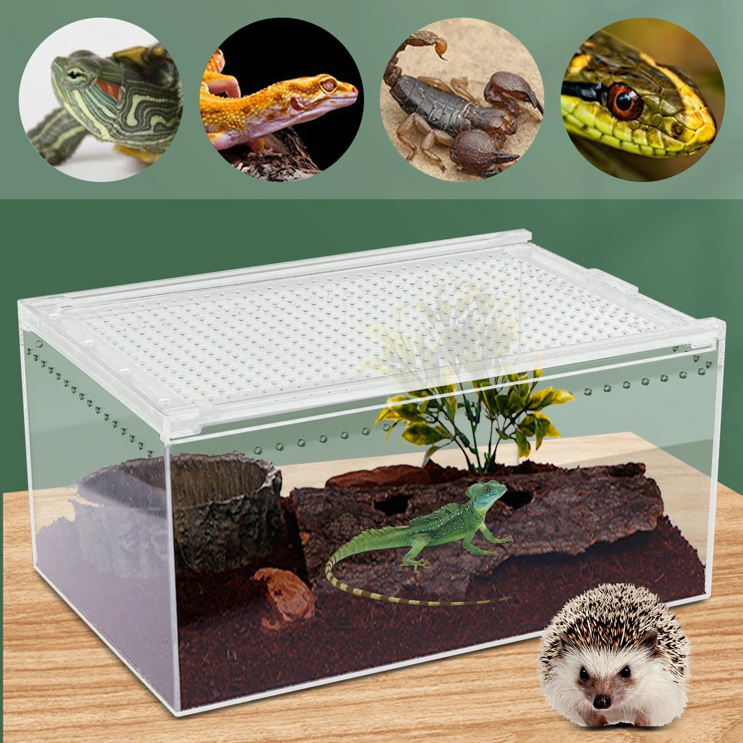Clear Acrylic Reptile Terrarium 12x8x6 Inch Stackable with Magnetic Lock Ventilation for Spider Scorpion Frog Snake Pet Habitat