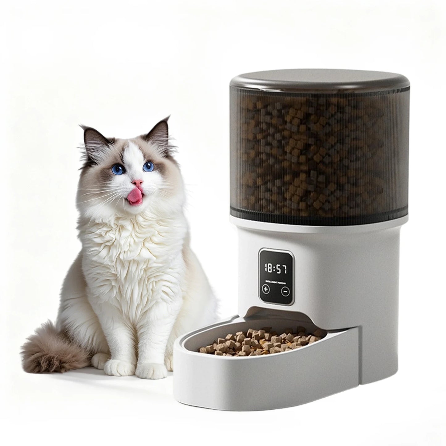 Programmable 4L Automatic Pet Feeder for Small Dogs or Cats, Up to 6 Meals Daily, Timer/Portion Control, Pet Feeding Food Dispenser