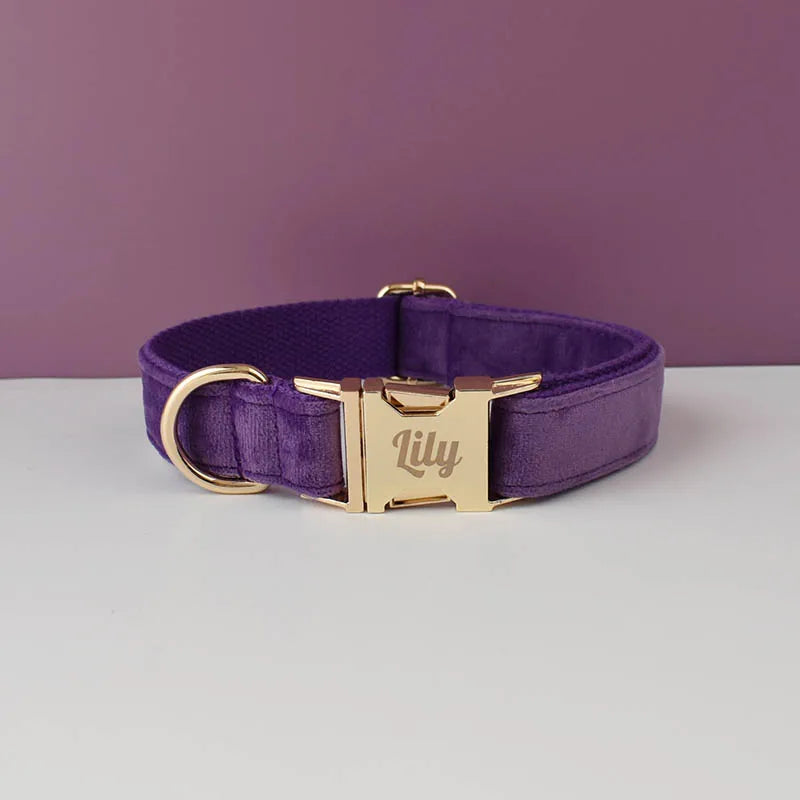 Velvet Collar Free Engrave Dog Collar  & Leash - different types
