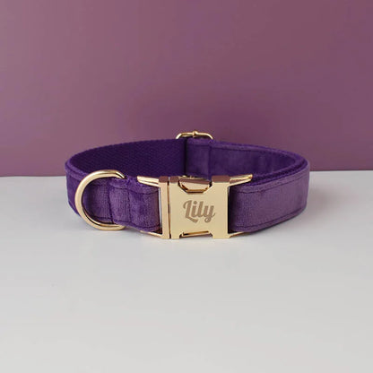 Velvet Collar Free Engrave Dog Collar  & Leash - different types