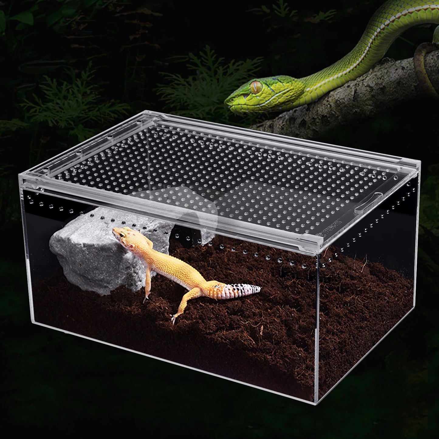 Clear Acrylic Reptile Terrarium 12x8x6 Inch Stackable with Magnetic Lock Ventilation for Spider Scorpion Frog Snake Pet Habitat