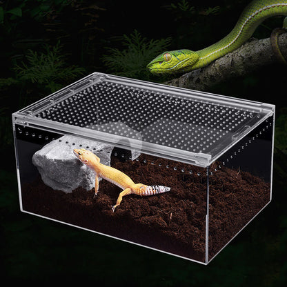 Clear Acrylic Reptile Terrarium 12x8x6 Inch Stackable with Magnetic Lock Ventilation for Spider Scorpion Frog Snake Pet Habitat