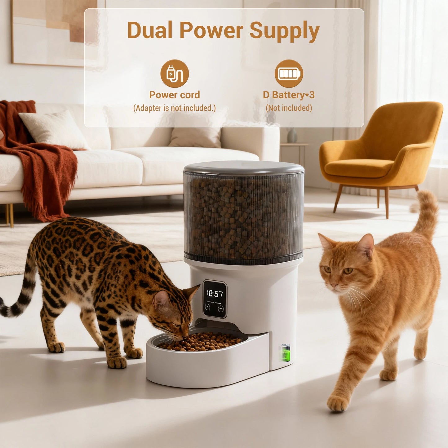 Programmable 4L Automatic Pet Feeder for Small Dogs or Cats, Up to 6 Meals Daily, Timer/Portion Control, Pet Feeding Food Dispenser