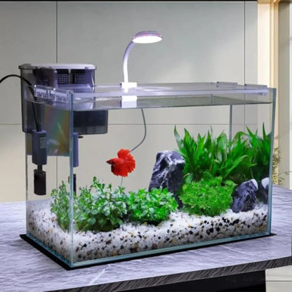 5 Gallon Glass Small Fish Tank with Filter Light and Lid Betta Aquarium Starter Kit